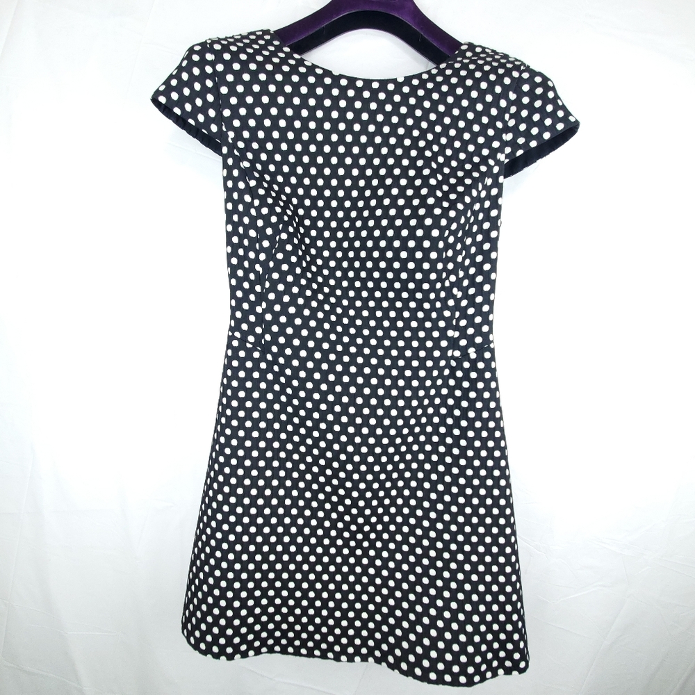 Zara Polka Dot Dress